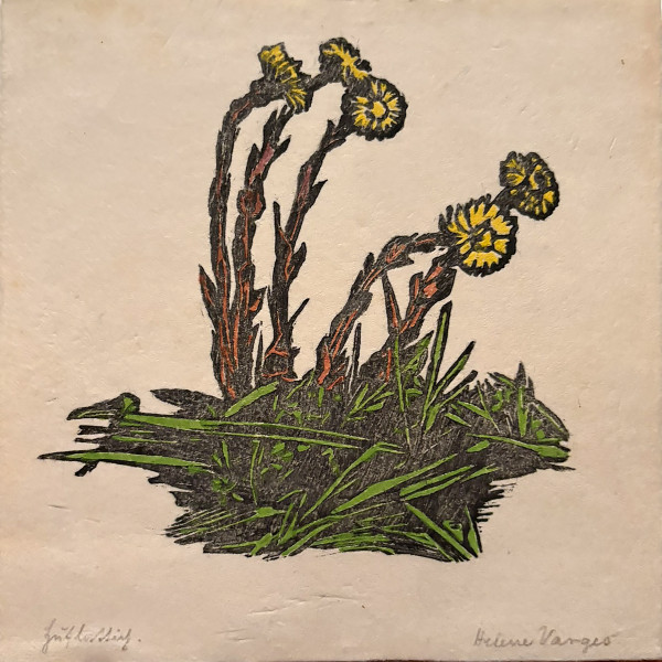 Helene Varges (1877-1946): Huflattich