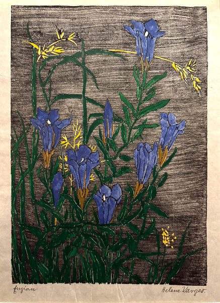 Helene Varges (1877-1946): Enzian